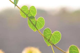 Méthode de psychothérapie